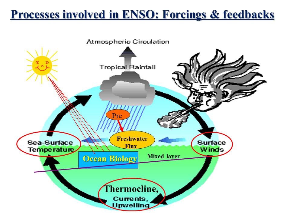 热带太平洋海气反馈过程对ENSO调制作用